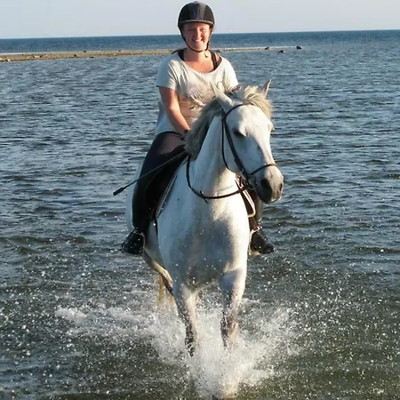 Feriehus Cozy Summer House With Free Parking Near Center & Kuressaare