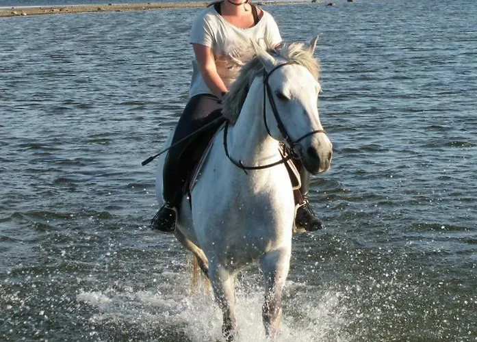 Дом отдыха Cozy Summer House With Free Parking Near Center & Курессааре